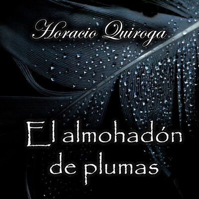 El almohadón de plumas, Audiolibro de Horacio Quiroga