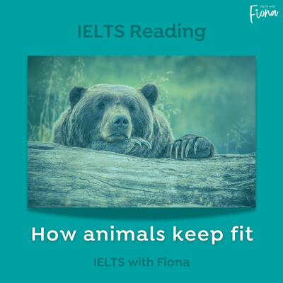IELTS Reading: How animals keep fit