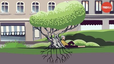 What happens if you cut down all of a city's trees? | Stefan Al