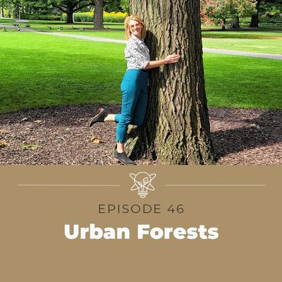 What’s an urban forest?