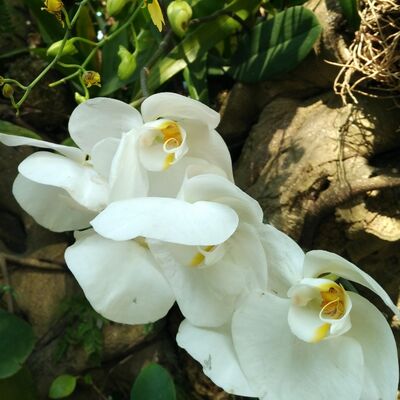 汇明分享电影《芳华》关于修身、爱情、死亡的人生感悟