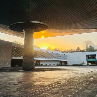 ArtCurious Virtual Vacation: Mexico City's Museums