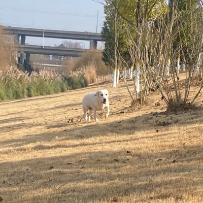 Vol.85 掌控故事的不是声音，而是想象