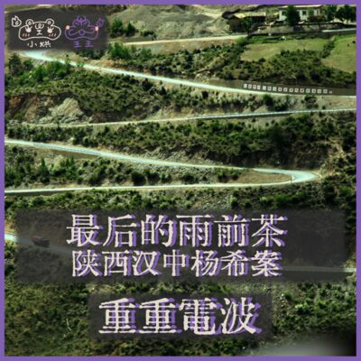 E42.最后的雨前茶：陕西汉中杨希案
