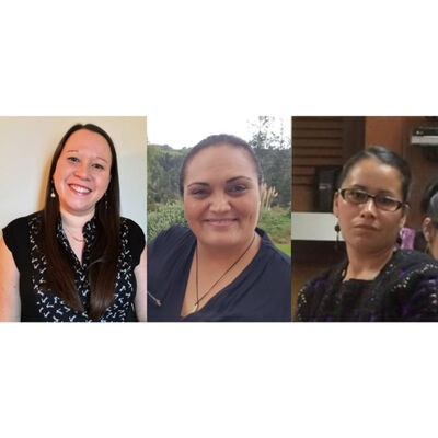 The Resurgence of Indigenous Midwifery in Canada, New Zealand, and Mexico