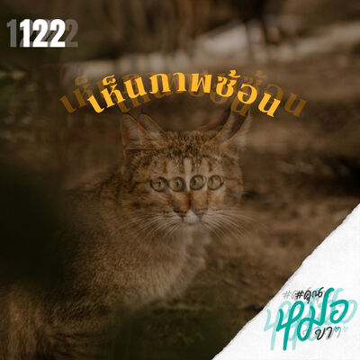 #คุณหมอขา 122 : เห็นภาพซ้อน