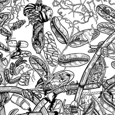 Ep 2: Los peligros de ser una rana venenosa