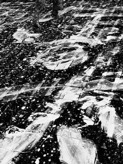 保护记忆、固执是美德、没有什么比快乐更神圣