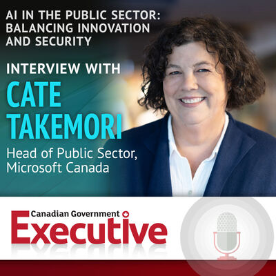 AI in the Public Sector: Balancing Innovation and Security