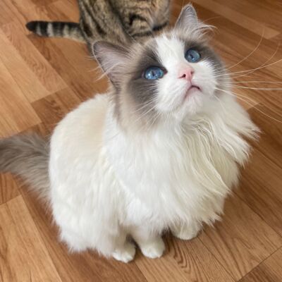 S2E3 信：对不起绵绵，妈妈真的好爱好爱你