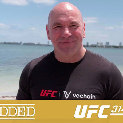 E5 UFC 314 Embedded (AMP'd) | #ufc #UFC314 #embedded