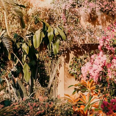 Vuelta al Mediterráneo en veinte jardines (III): Refugio, memoria y emoción en el jardín mediterráneo