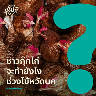 #คุณหมอคะ : ชาวกุ๊กไก่ทำไงช่วงไข้หวัดนก