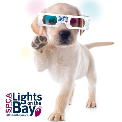 The Magic of Lights on the Bay by the SPCA of Anne Arundel County (December 2019)