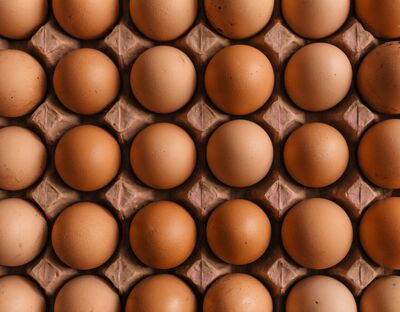 Inflation is down so why do we keep going on about the price of eggs?