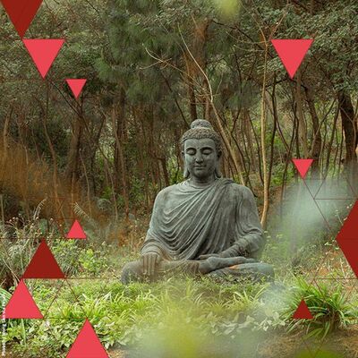 Zen in an Age of Ecological Crisis | Philosophers Jason Wirth en Gerard Kuperus