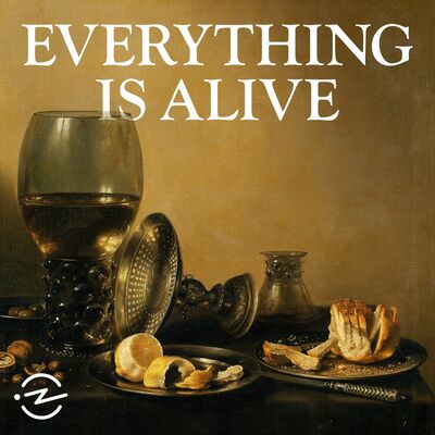 Connor by Everything Is Alive