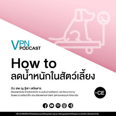 VPN Podcast EP.48 - How to ลดน้ำหนักในสัตว์เลี้ยง