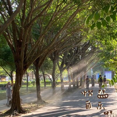 009 | 原来我不是情绪稳定，是情绪压抑