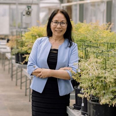 Dr Qin Yu's team discovers naturally evolving point mutation which confers resistance to Glufosinate in goosegrass