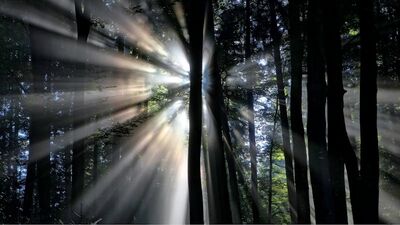 God Made You Alive for God