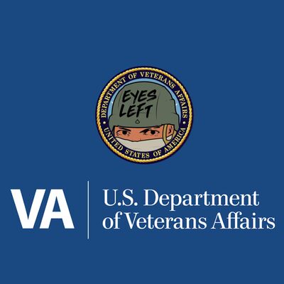 Trump's VA: Brain Zapping & Gyroscopes - Interview w/ Veterans' Affairs Investigator