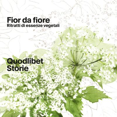 Fior da fiore