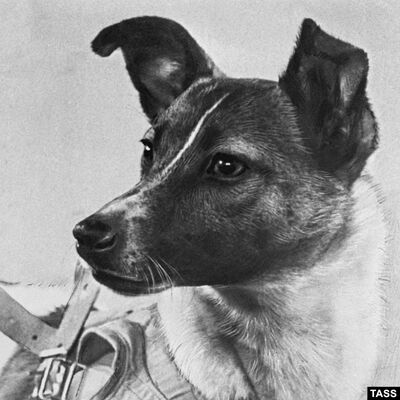 Brierly Hill 90210 presents... 1957