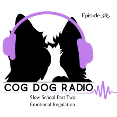 Slow School Part Two: Emotional Regulation