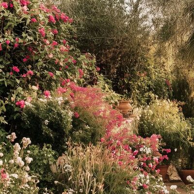 Vuelta al Mediterráneo en veinte jardines (IV): Filosofía y hedonismo en el jardín mediterráneo