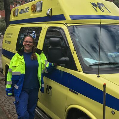 Gespot: dier op de snelweg