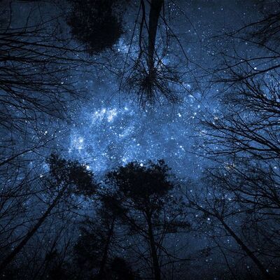 Navigating Through the "Dark Winter"