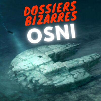 Les OSNI