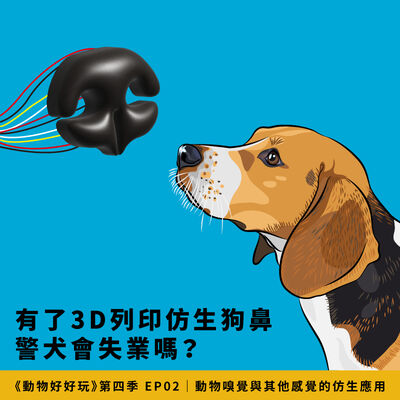 魚為什麼不會撞到同伴？蝗蟲也能聞炸彈？連電池、飛彈都和動物有關！【焦傳金｜動物好好玩S4EP2】