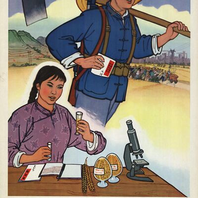 Sisters doing it for themselves? Marriage Refusal and Little Milk Puppies