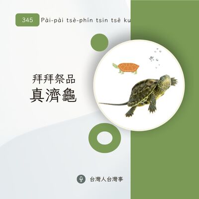 345 拜拜祭品真濟龜