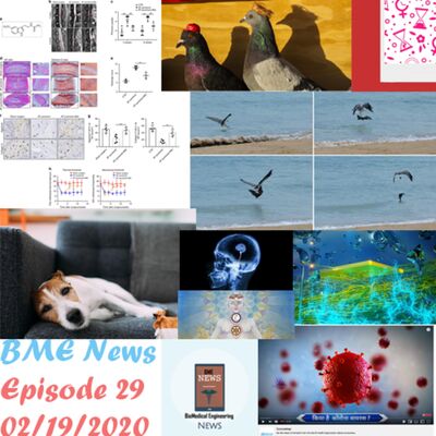 episode29_Feb19.2020