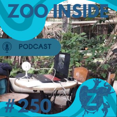 Zoo Inside #250 - Jubileum aflevering (DEEL 2) met Marc Damen