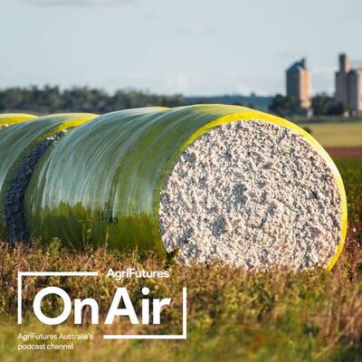 Farming the Future: The Role of Regional Manufacturing in Rural Growth and Resilience