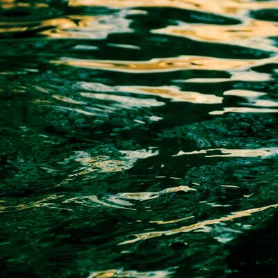 MOTDEP008 – Jo Johnson | Orbit