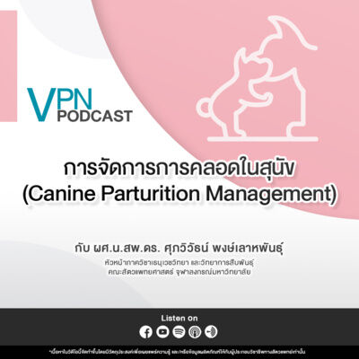 VPN Podcast EP.61 - การจัดการการคลอดในสุนัข