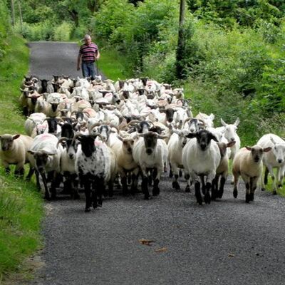 May 12th - Shepherding New Gamers