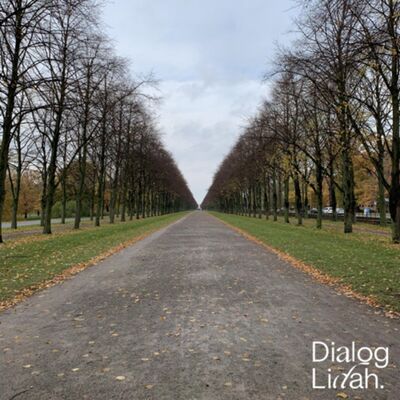 41. Tidak Layak - #DialogdariRumah