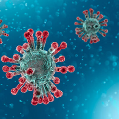 Que nous dit le coronavirus ?