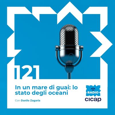 In un mare di guai: lo stato degli oceani - con Danilo Zagaria