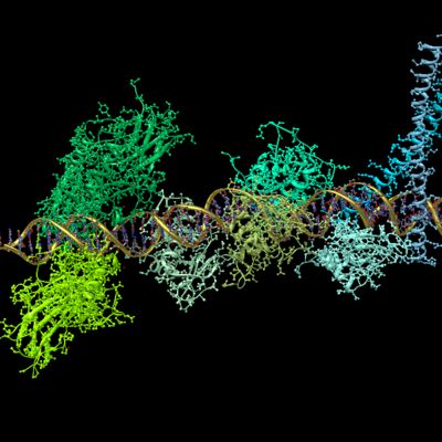 La Ciencia | Llega la era de la proteómica: el lenguaje del cuerpo humano