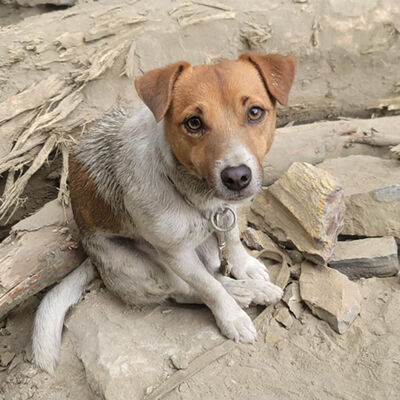 『星際馬雅聊波符』Ep.18 白狗波：愛自己與真誠的愛 ft. Asha與高靈