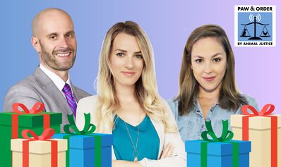 #69: Holiday SPECTACULAR!