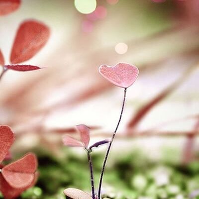 日拱一卒，功不唐捐【摆脱抑郁告别失眠】