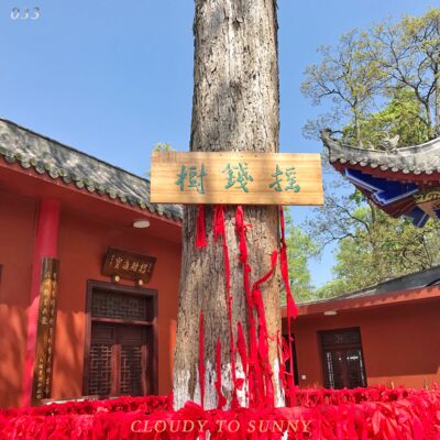 Vol.033 年轻人进寺庙：把你捧在手上，虔诚地焚香